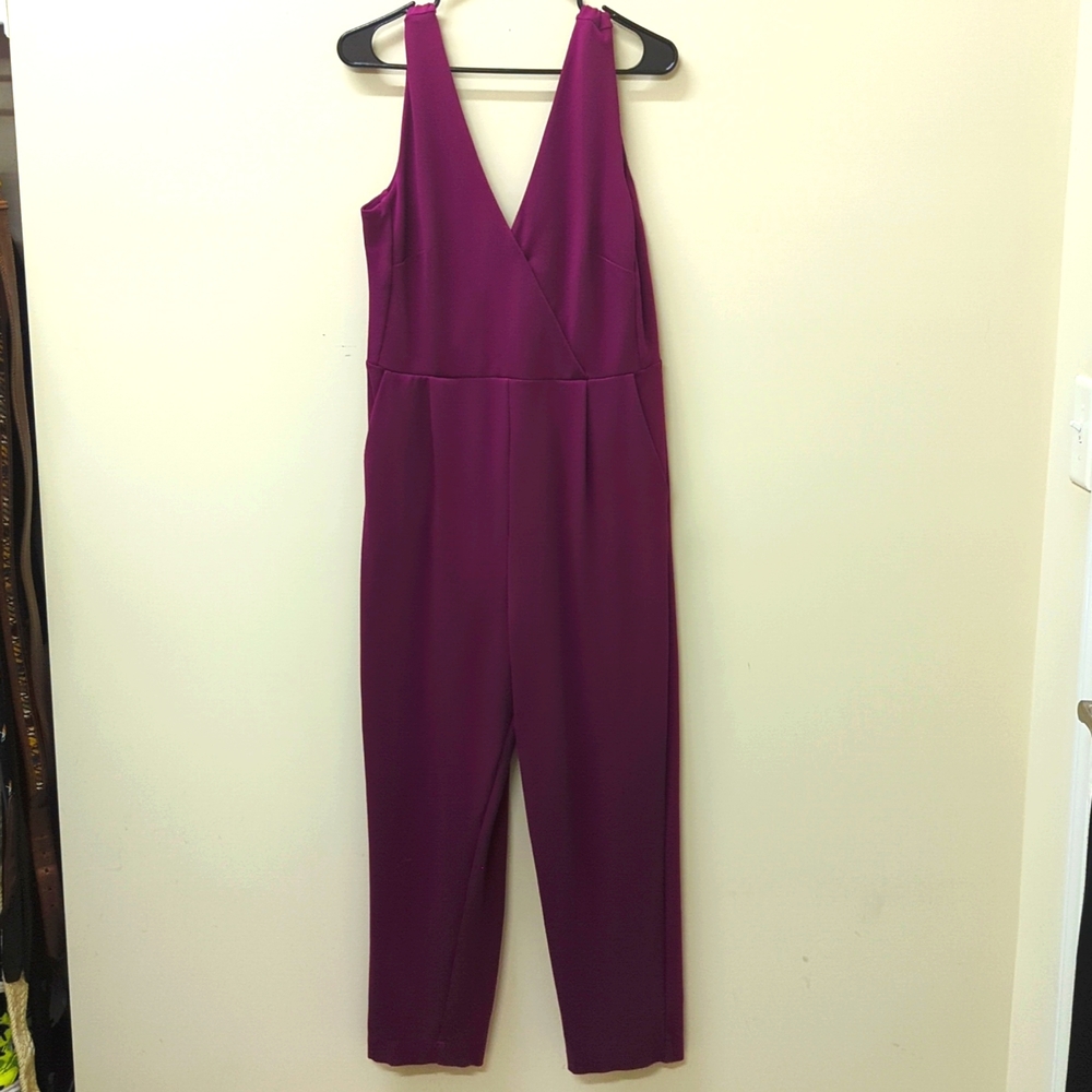 Plum Fuschia Jumpsuit by French Connection
